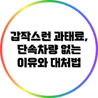 갑작스런 과태료, 단속차량 없는 이유와 대처법