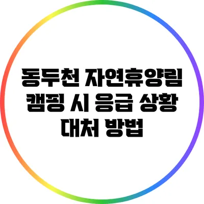 동두천 자연휴양림 캠핑 시 응급 상황 대처 방법