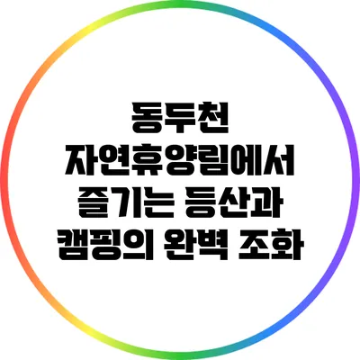 동두천 자연휴양림에서 즐기는 등산과 캠핑의 완벽 조화