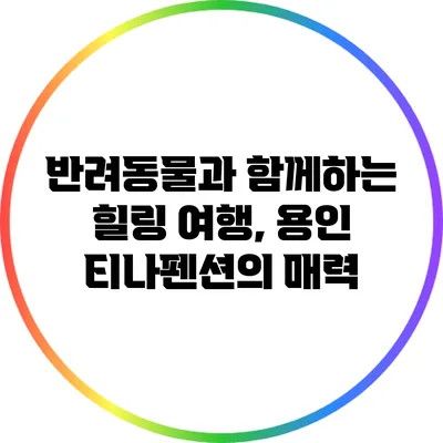 반려동물과 함께하는 힐링 여행, 용인 티나펜션의 매력