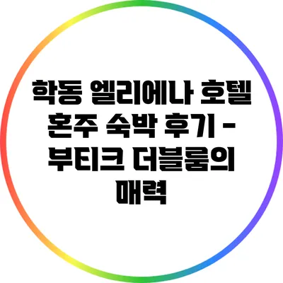 학동 엘리에나 호텔 혼주 숙박 후기 - 부티크 더블룸의 매력