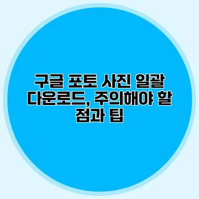 구글 포토 사진 일괄 다운로드, 주의해야 할 점과 팁