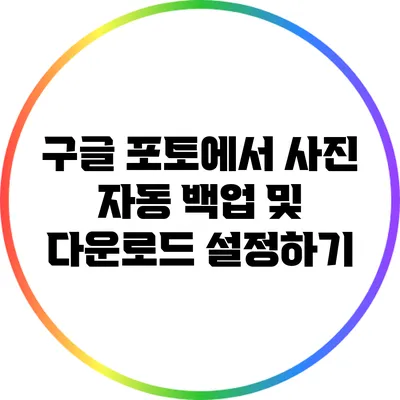 구글 포토에서 사진 자동 백업 및 다운로드 설정하기