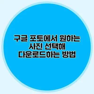 구글 포토에서 원하는 사진 선택해 다운로드하는 방법