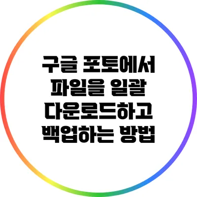 구글 포토에서 파일을 일괄 다운로드하고 백업하는 방법