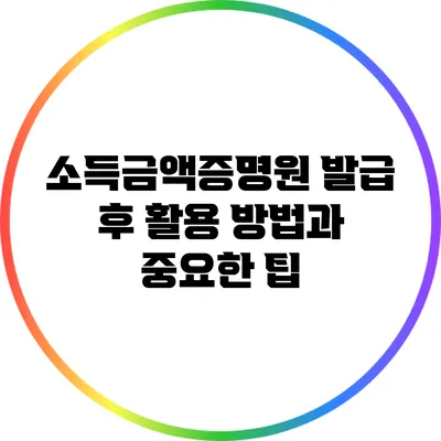 소득금액증명원 발급 후 활용 방법과 중요한 팁
