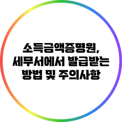 소득금액증명원, 세무서에서 발급받는 방법 및 주의사항
