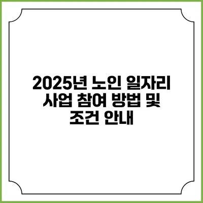 2025년 노인 일자리 사업 참여 방법 및 조건 안내