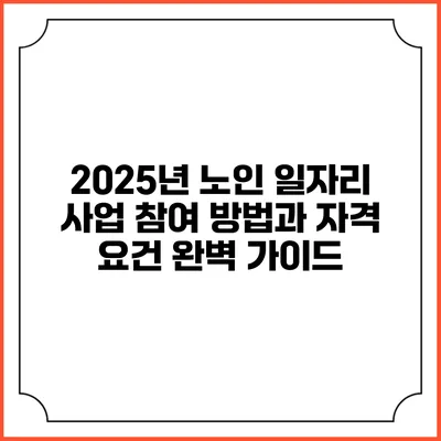 2025년 노인 일자리 사업 참여 방법과 자격 요건 완벽 가이드