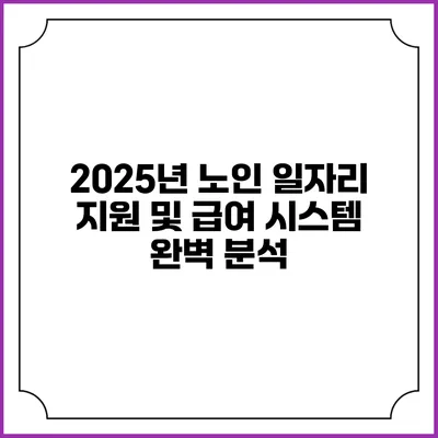2025년 노인 일자리 지원 및 급여 시스템 완벽 분석