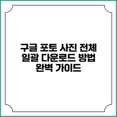 구글 포토 사진 전체 일괄 다운로드 방법 완벽 가이드