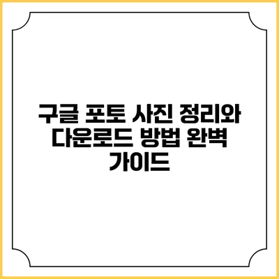 구글 포토 사진 정리와 다운로드 방법: 완벽 가이드