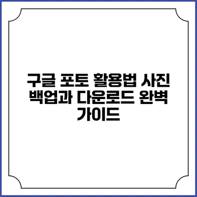 구글 포토 활용법: 사진 백업과 다운로드 완벽 가이드