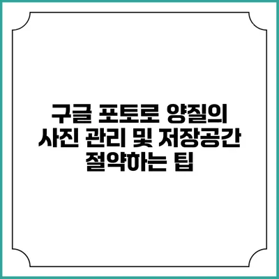 구글 포토로 양질의 사진 관리 및 저장공간 절약하는 팁