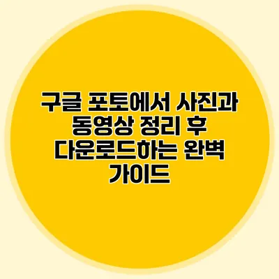 구글 포토에서 사진과 동영상 정리 후 다운로드하는 완벽 가이드