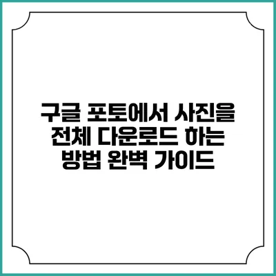 구글 포토에서 사진을 전체 다운로드 하는 방법 완벽 가이드