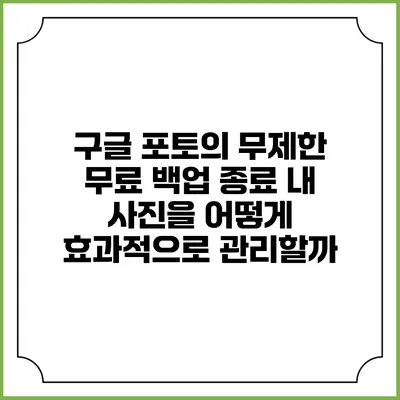 구글 포토의 무제한 무료 백업 종료: 내 사진을 어떻게 효과적으로 관리할까?