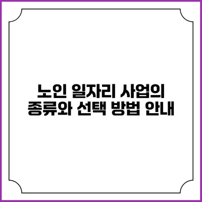 노인 일자리 사업의 종류와 선택 방법 안내