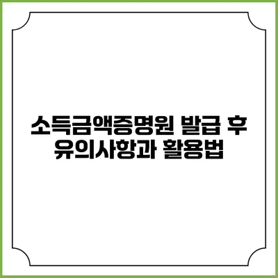 소득금액증명원 발급 후 유의사항과 활용법