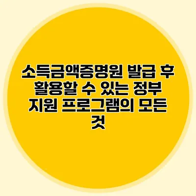 소득금액증명원 발급 후 활용할 수 있는 정부 지원 프로그램의 모든 것