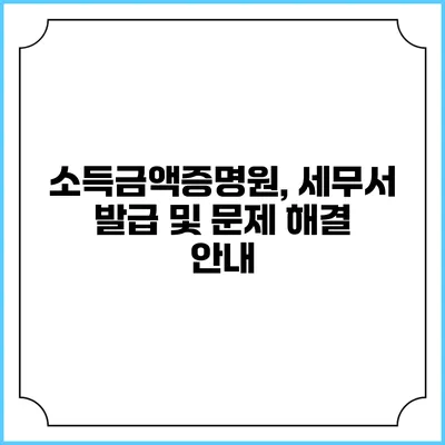 소득금액증명원, 세무서 발급 및 문제 해결 안내