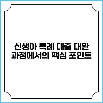 신생아 특례 대출 대환 과정에서의 핵심 포인트