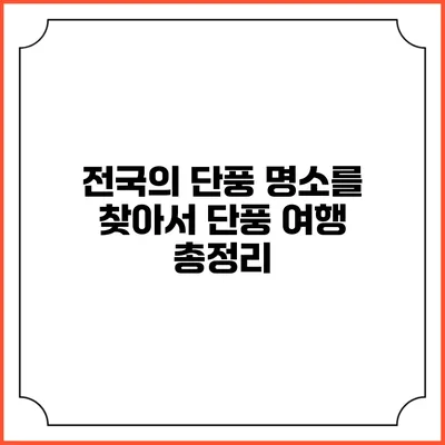 전국의 단풍 명소를 찾아서: 단풍 여행 총정리