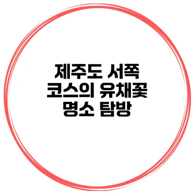 제주도 서쪽 코스의 유채꽃 명소 탐방