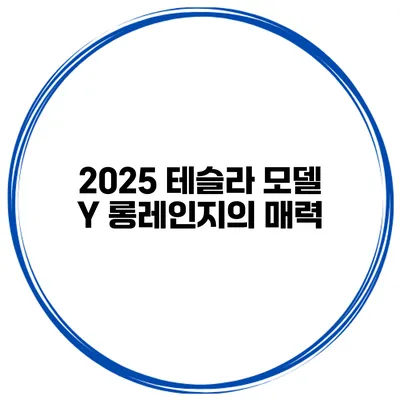 2025 테슬라 모델 Y 롱레인지의 매력