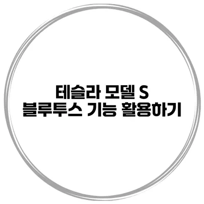 테슬라 모델 S 블루투스 기능 활용하기