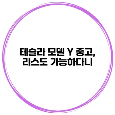 테슬라 모델 Y 중고, 리스도 가능하다니